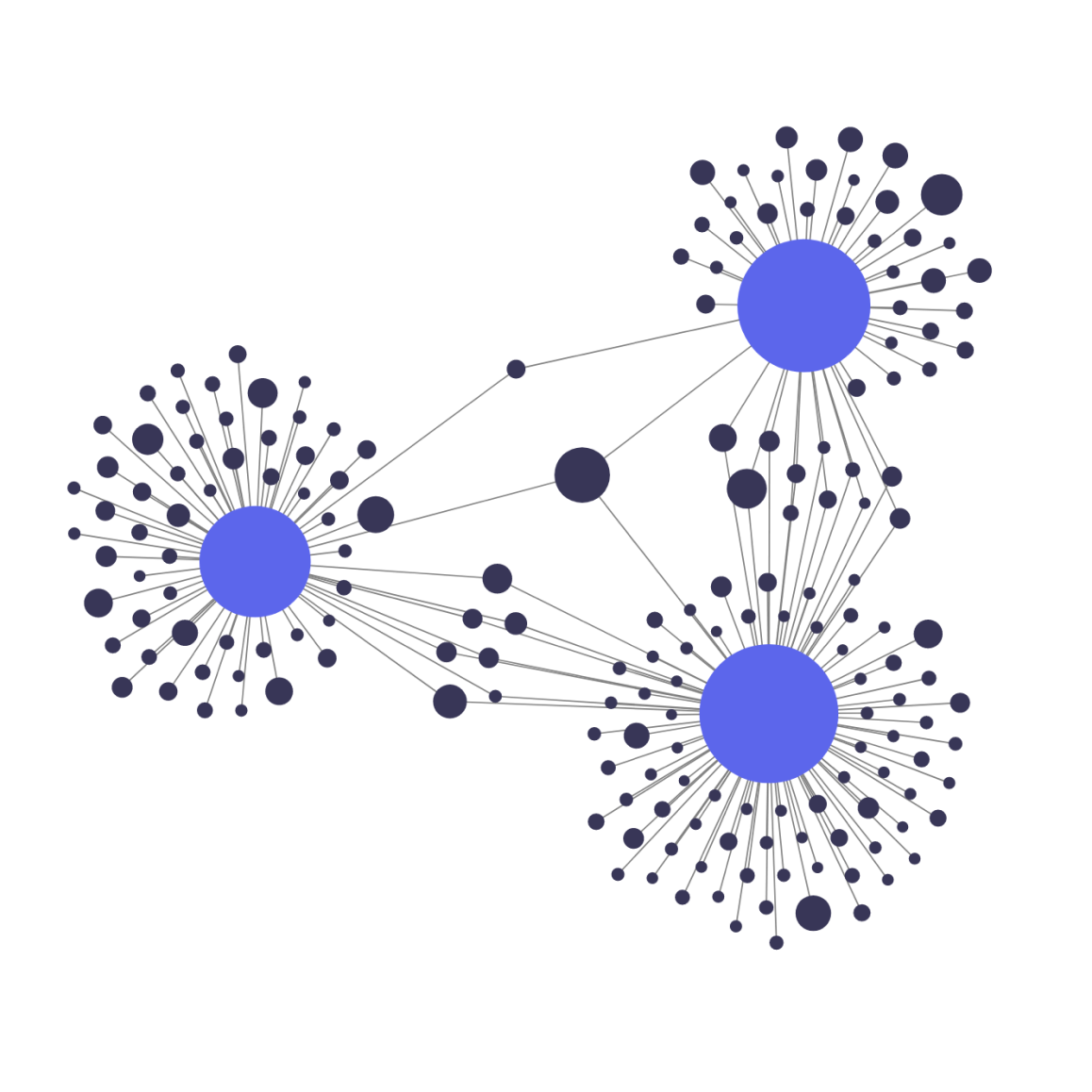 Network